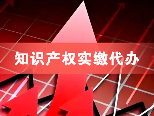 白山知识产权实缴资本代办